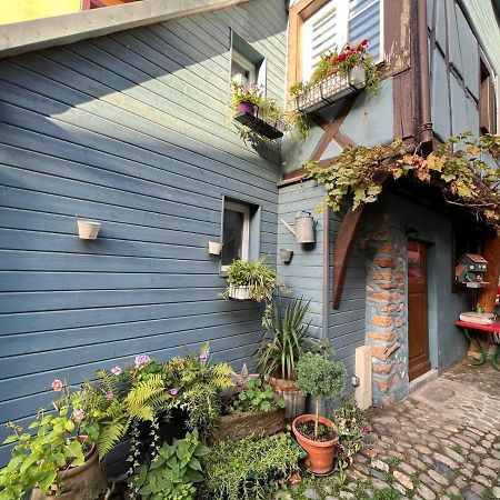 Gite Le 70 A Turckheim, 10 Min Colmar Ngoại thất bức ảnh